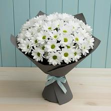 Букет цветов из:  Хризантемы в Войсковицы