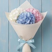 Букет цветов из:  Гортензия в Войсковицы
