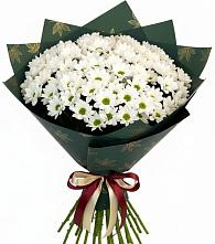 Букет цветов из:  Хризантемы в Войсковицы