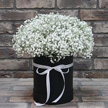 Цветочная композиция из Гипсофила в шляпной коробке в Войсковицы