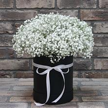 Цветочная композиция из Гипсофила в шляпной коробке в Войсковицы