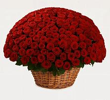 Премиум букет из: Розы #REPLACE_PRED# Войсковицы