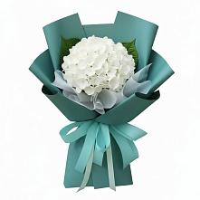 Букет цветов из:  Гортензия в Войсковицы